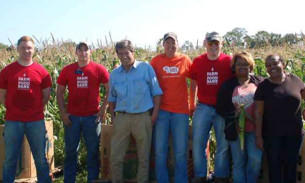 Voyages in Volunteering